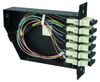 MPO/MTP® PC FanOut module OM3; 6x SC duplex adaptor; 12x SC/PC FanOut}