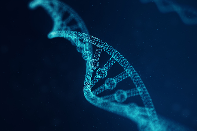L'ADN numérique - la marque Telegärtner