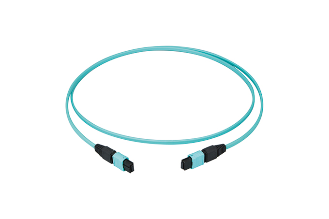 Imagen de producto del cable de conexión MPO